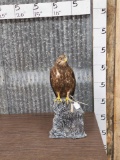 European Honey Buzzard Full Body Bird Taxidermy