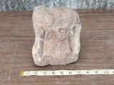 Fossilized Triceratops Dinosaur Vertebrae