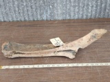 Ancient American Bison Buffalo Leg / Limb Bone