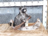 Raccoon In A Birch Bark Canoe Taxidermy