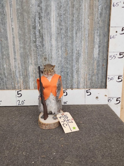 Hunting Squirrel Full Body Taxidermy Mount