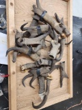 9.6 Lbs Of Pronghorn Antelope Horns & Sheds