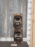 2 Raccoons In Logs Taxidermy