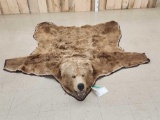 Vintage Grizzly Bear Rug Taxidermy