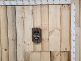 Raccoon In A Log Taxidermy