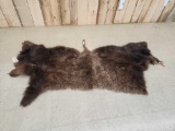 American Bison Buffalo Soft Tanned 1/2 Robe Taxidermy