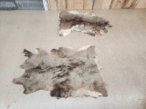 2 Soft Tanned Deer Skins Taxidermy