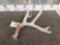 5 Point Whitetail Shed Antler