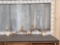 3 Sets Of Whitetail Antlers On Skull Plate