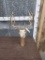 Antique 4X5 whitetail antlers On Skull Plate