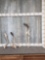 Group Of 3 Freak Elk Shed Antlers