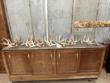 21.6 Pounds Of Whitetail Shed Antlers