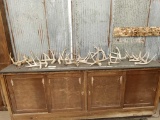 17.8 lbs Of Whitetail Shed Antlers