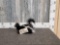 Baby Skunk Full Body Taxidermy Mount