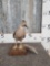 South American Ringed Teel Full Body Bird Taxidermy