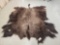 American Bison Buffalo Full Robe Taxidermy