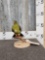 Green Fruit Pigeon Full Body Bird Taxidermy