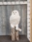 Spectacular REPRODUCTION Snow Owl Full Body Bird Taxidermy