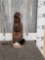 Mink Full Body Taxidermy Mount