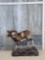 Mouflon Cross Ram Sheep Full Body Taxidermy Mount