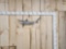Reproduction Sand Shark Taxidermy