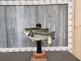 Reproduction Largemouth Bass BEER DISPENSER Taxidermy