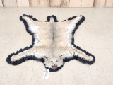 XL Bobcat Rug Taxidermy