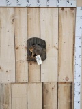 Squirrel In A Log Taxidermy