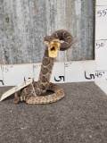 Diamondback Rattlesnake Ready To Strike Taxidermy