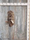 Grey Squirrel On Driftwood Full Body Taxidermy Mount