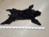Big Black Bear Tanned Fur