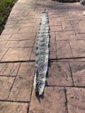 Big Soft Tanned Python Snake Skin Taxidermy