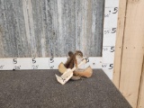Pine Squirrel In A Birch Bark Canoe Taxidermy