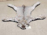 Beautiful Alaskan Lynx Rug Taxidermy