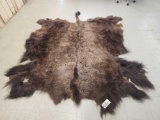 American Bison Buffalo Full Robe Taxidermy