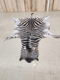 Tanned Zebra Skin Taxidermy