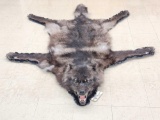 Big Alaskan Black Wolf Rug Taxidermy