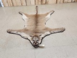 Extra Large Mountain Lion Cougar Rug Taxidermy