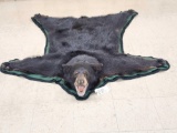 Nice Black Bear Rug Taxidermy