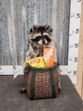 Raccoon With Snack Basket