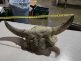 Ancient American Bison Buffalo Skull