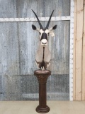 African Gemsbok Pedestal Taxidermy Mount