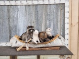 Noah's Ark 4 Critters In A Birch Bark Canoe Taxidermy