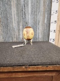 Decorated African Ostrich Egg On Stand