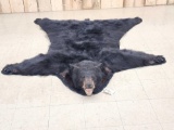 XL Black Bear Rug Taxidermy