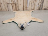 Beautiful Polar Bear Rug Taxidermy