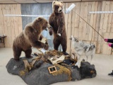 Giant Russian Brown Bear Full Body Taxidermy Mount