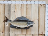 Lake Trout Real Skin Fish Taxidermy