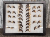 2 Sets Of Black Bear Claws Taxidermy