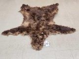 Alaskan Grizzly Bear Tanned Fur Taxidermy